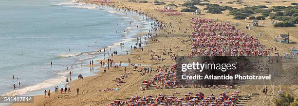 beach at playa del ingles on gran canaria - gran canaria bildbanksfoton och bilder