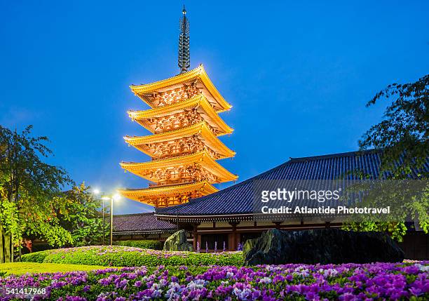 asakusa, the senso-ji (senso temple), the five-storey pagoda - asakusa senso temple stock pictures, royalty-free photos & images