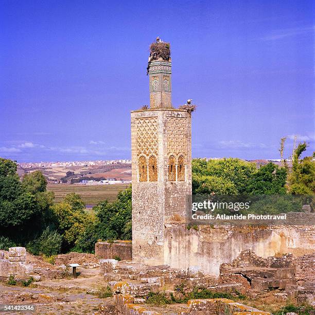 minaret of the muslim sanctuary at chellah ruins - rabat morocco stock pictures, royalty-free photos & images