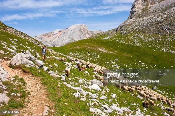 hiker on trail number 26 to the scuro valley, trentino-alto adige, italy - scuro stock pictures, royalty-free photos & images