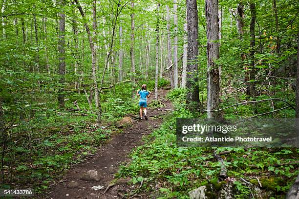 hiking trail to haystack mountain in saranac lake area - see saranac lake stock-fotos und bilder