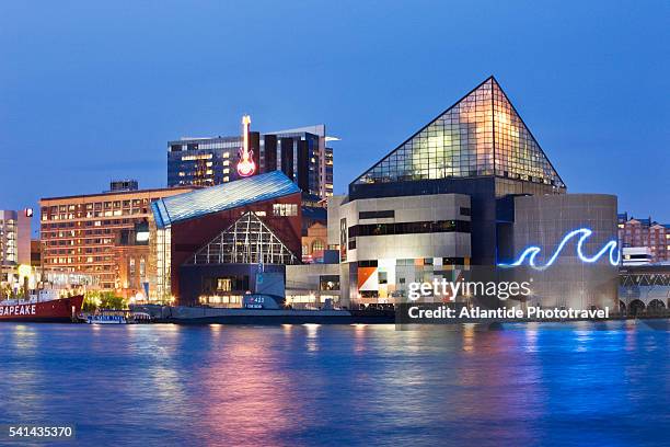 the national aquarium in inner harbor - national aquarium imagens e fotografias de stock