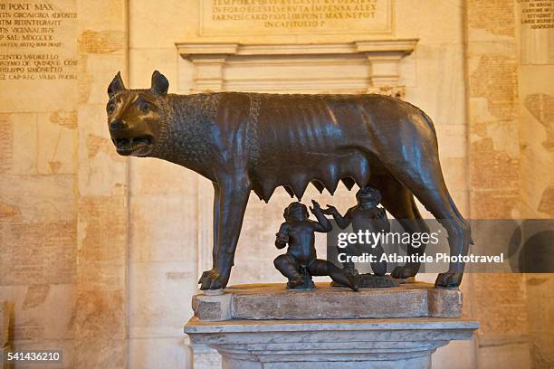 she-wolf at musei capitolini - capitoline museums stock pictures, royalty-free photos & images