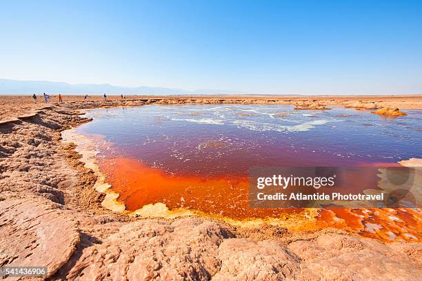 hot springs of dallol - afar stockfoto's en -beelden