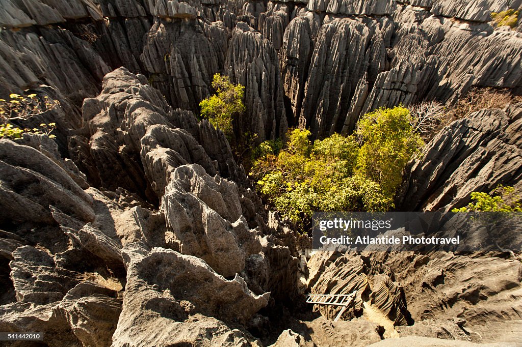 Tsingy de Bemaraha National Park