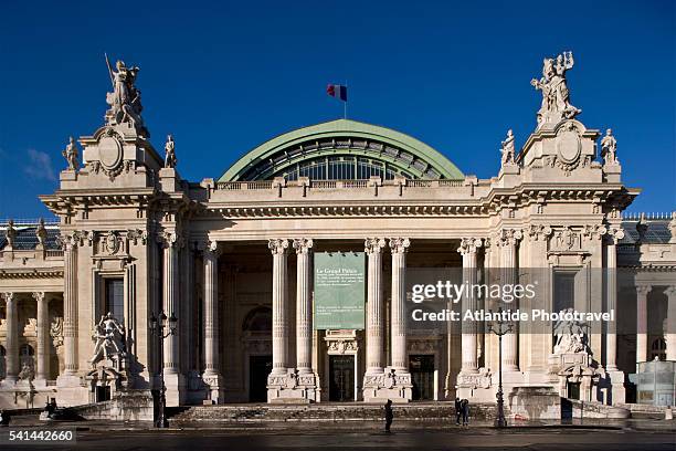 grand palais on winston churchill avenue in paris - grand palais stock-fotos und bilder