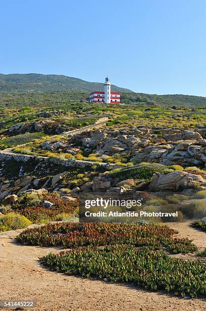 lighthouse of punta capel rosso - rosso stock pictures, royalty-free photos & images