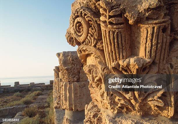 ruins of corinthian columns at the archaeological site of apollonia - corinzio foto e immagini stock