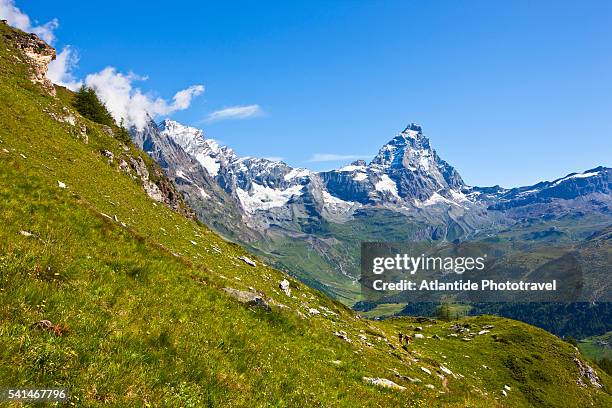 the cervino (matterhorn) on the trail to the refuge perucca-villeirmoz. - valle daosta stock pictures, royalty-free photos & images