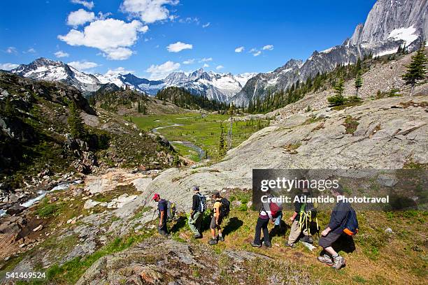 hiking in the kickoff meadow (grizzly area).columbia mountains. bugaboo provincial park. - bugaboo glacier provincial park stock pictures, royalty-free photos & images