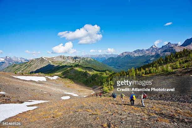 hiking in the silver basin near the frenchman mountain. columbia mountains. bugaboo provincial park - bugaboo glacier provincial park stock pictures, royalty-free photos & images