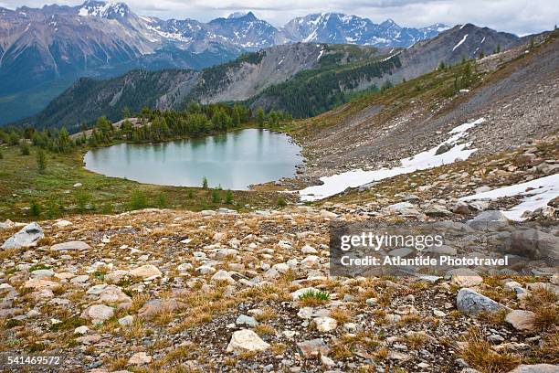 hiking the lodge to lodge trail on rocky point ridge. columbia mountains. bugaboo provincial park. - bugaboo glacier provincial park stock pictures, royalty-free photos & images