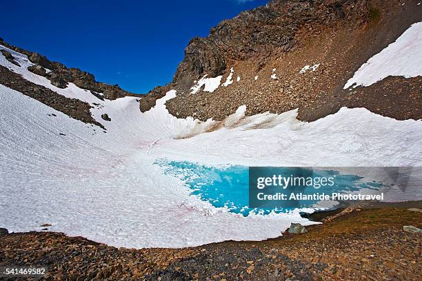 hiking in the kickoff meadow (grizzly area).columbia mountains. bugaboo provincial park. - bugaboo glacier provincial park stock pictures, royalty-free photos & images