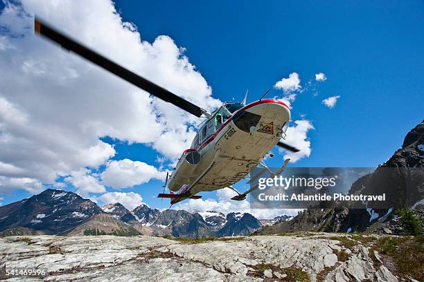 heli hiking near columbia mountains. bugaboo provincial park. - bugaboo glacier provincial park stock pictures, royalty-free photos & images