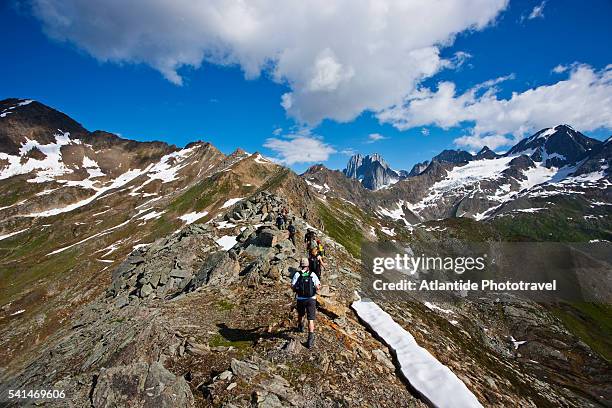 hiking in the kickoff meadow (grizzly area).columbia mountains. bugaboo provincial park. - bugaboo glacier provincial park stock pictures, royalty-free photos & images