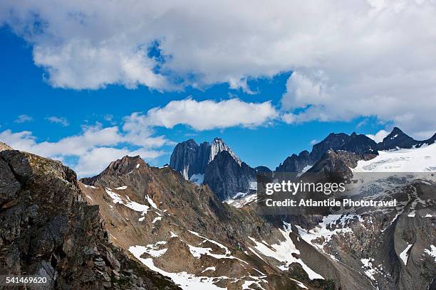 hiking in the kickoff meadow (grizzly area).columbia mountains. bugaboo provincial park. - bugaboo glacier provincial park stock pictures, royalty-free photos & images