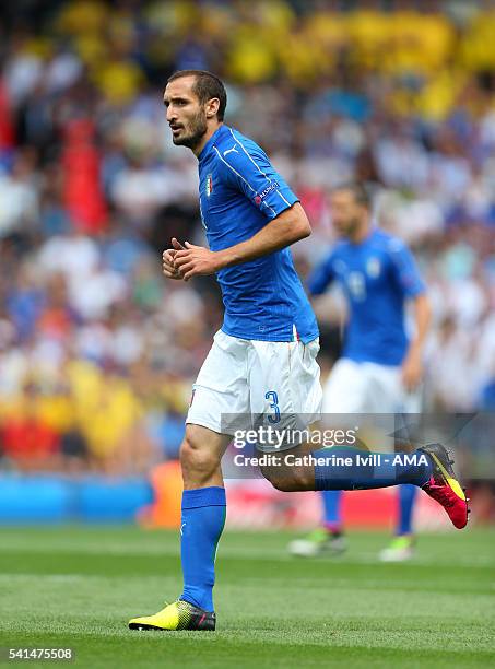 Giorgio Chiellini of Italy during the UEFA EURO 2016 Group E match between Italy and Sweden at Stadium Municipal on June 17, 2016 in Toulouse, France.