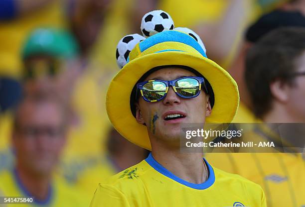 Fan of sweden during the UEFA EURO 2016 Group E match between Italy and Sweden at Stadium Municipal on June 17, 2016 in Toulouse, France.