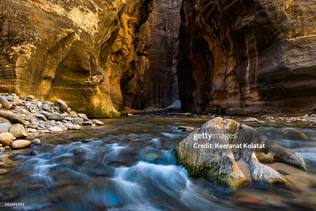 The Narrows of Zion