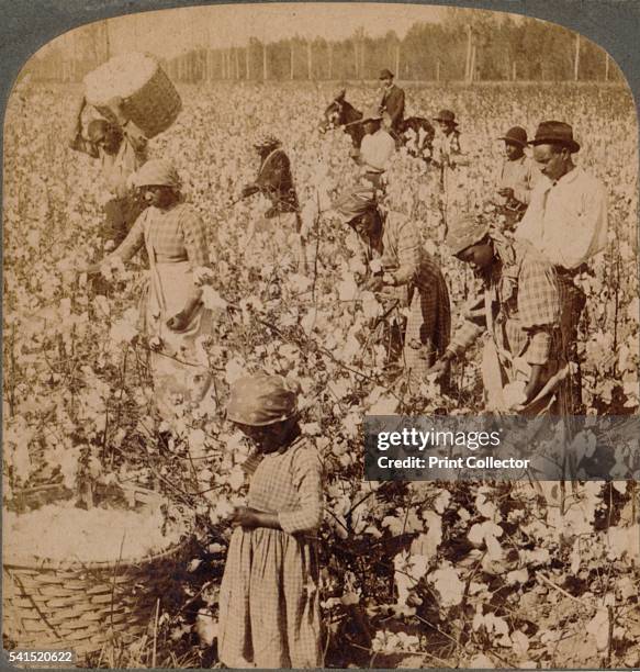 Cotton is king - plantation scene with pickers at work. Georgia', c1900. [Underwood & Underwood, New York, London, Toronto-Canada, Ottawa-Kansas,...