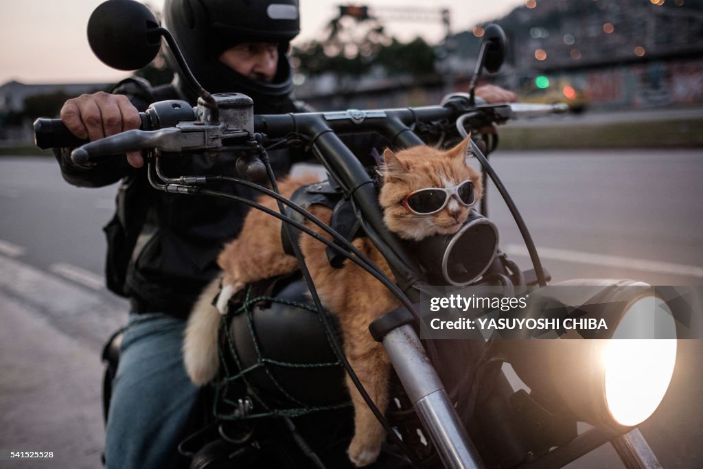 TOPSHOT-BRAZIL-BIKER-CAT