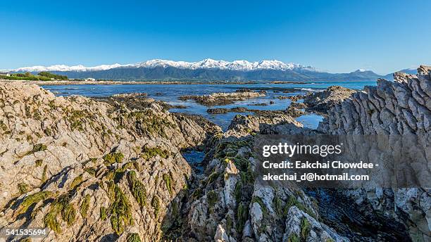 kaikoura beach - kaikoura stock-fotos und bilder