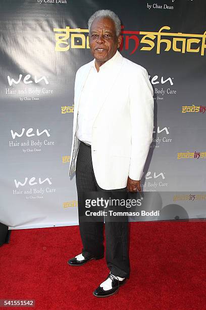 Actor Sy Richardson attends the benefit screening and party for "Gods In Shackles" at Harmony Gold Theater on June 19, 2016 in Los Angeles,...