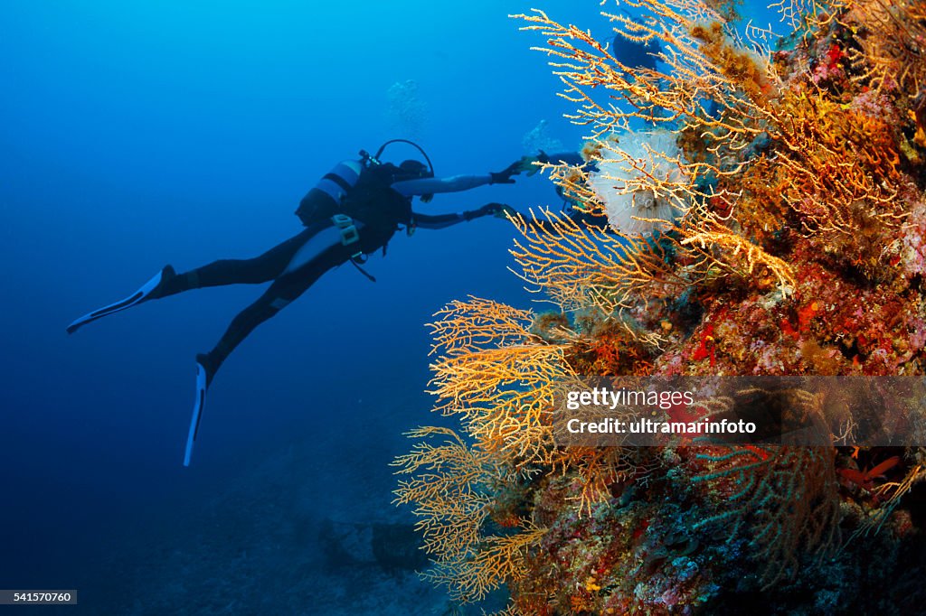 Underwater Scuba divers enjoy Explore coral reef Sea life