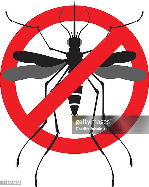 ilustraciones, imágenes clip art, dibujos animados e iconos de stock de mosquito señal de advertencia de peligro - dengue
