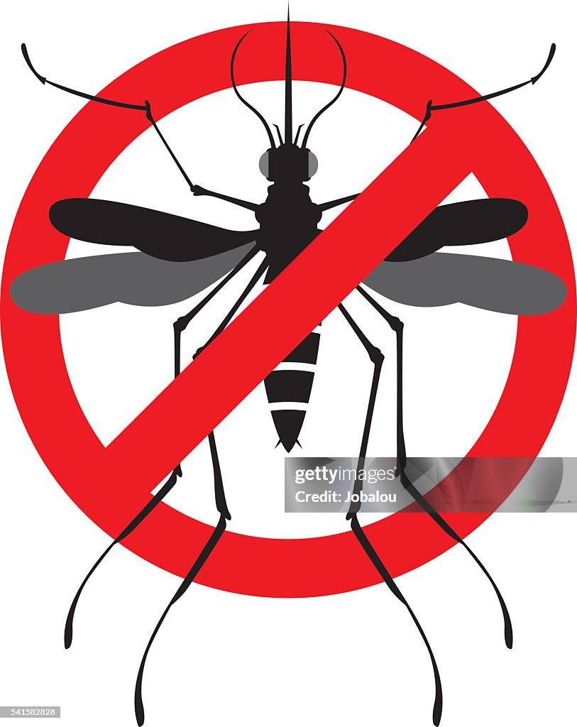 Mosquito perigo sinal de alerta
