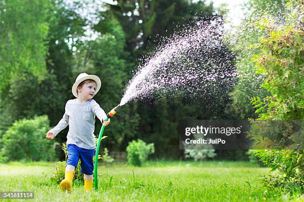 watering - garden hose stock pictures, royalty-free photos & images