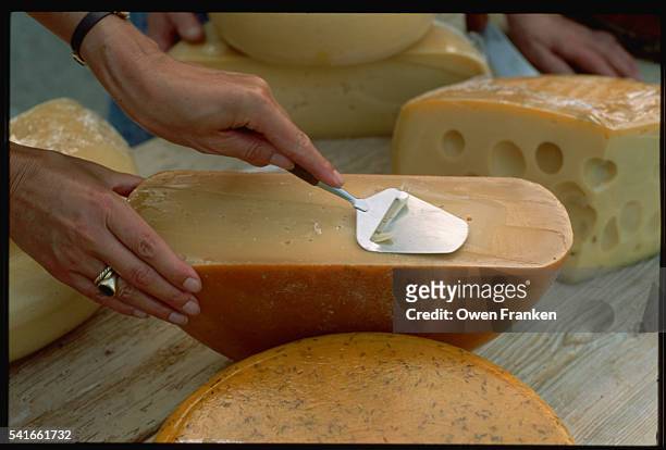 woman slicing cheese - cheese production in netherlands stock pictures, royalty-free photos & images
