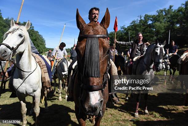 Horses pictured during the celebration of 'La Compra'. The city of Soria celebrated the 12th Century tradition of "La Compra" , in which the bulls...