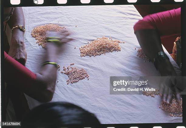 Pearl Sorting 64 Hyderabad Pearls Stock Photos, High-Res Pictures, and Images - Getty ...