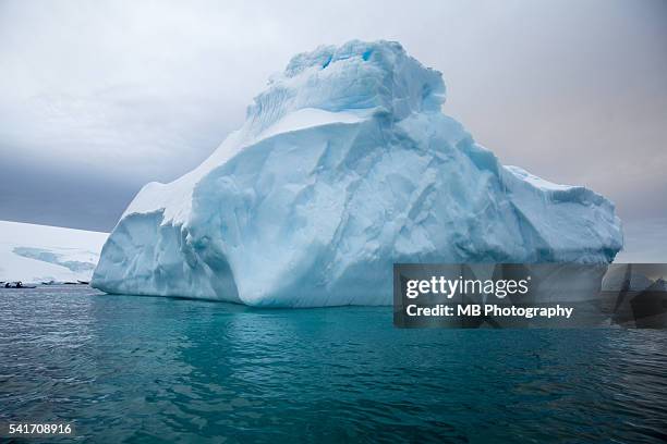 iceberg - iceberg stockfoto's en -beelden