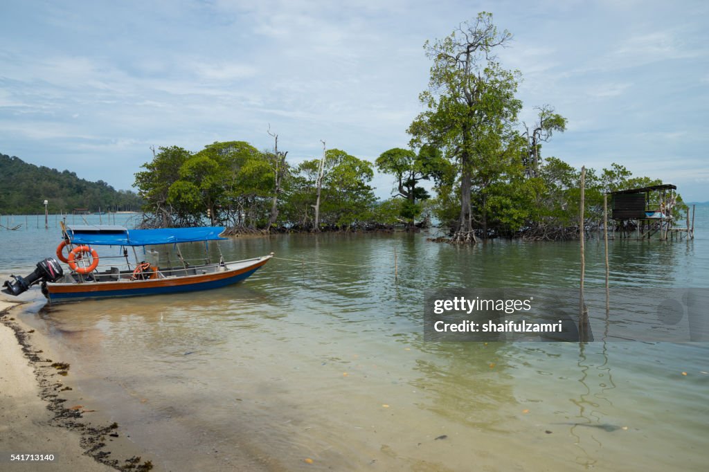 Beautiful mangrove area in Sibu island of Johor, Malaysia