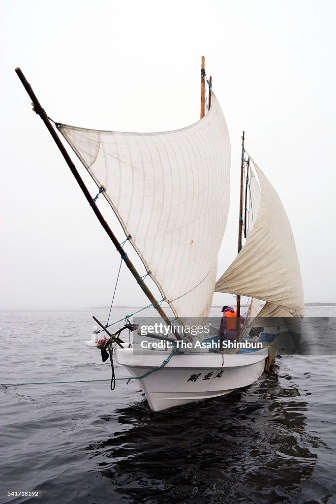Hokkai Shrimp Fishing Season Begins