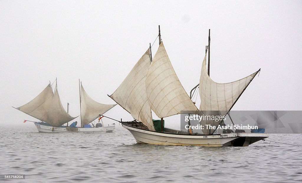 Hokkai Shrimp Fishing Season Begins