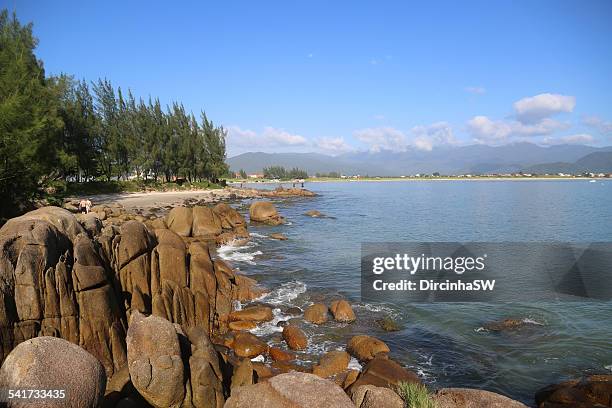 ponta do papagaio beach. - papagaio stockfoto's en -beelden