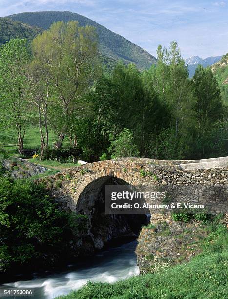river flowing under romanesque bridge - alamany stockfoto's en -beelden