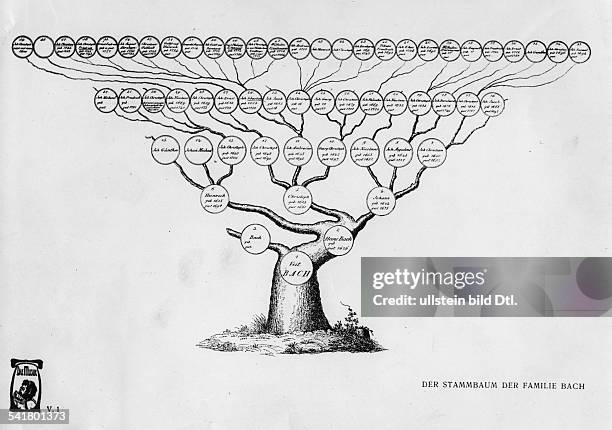 Bach, Johann Sebastian *21.03.1685-28.07.1750+Komponist, D- Stammbaum der Familie Bach- undatiert