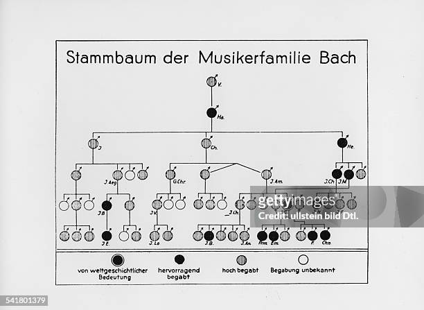 Bach, Johann Sebastian *21.03.1685-28.07.1750+Komponist, D- Stammbaum der Musikerfamilie Bach, bewertet nach musikalischer Begabung- undatiert