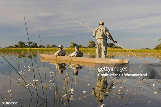 mokoro tour in the okavango delta - okawangodelta stock-fotos und bilder