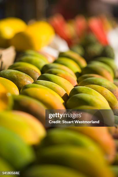 mangoes at market - mango stock pictures, royalty-free photos & images