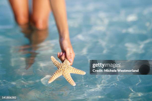 woman holding a starfish - woman holding starfish stock pictures, royalty-free photos & images