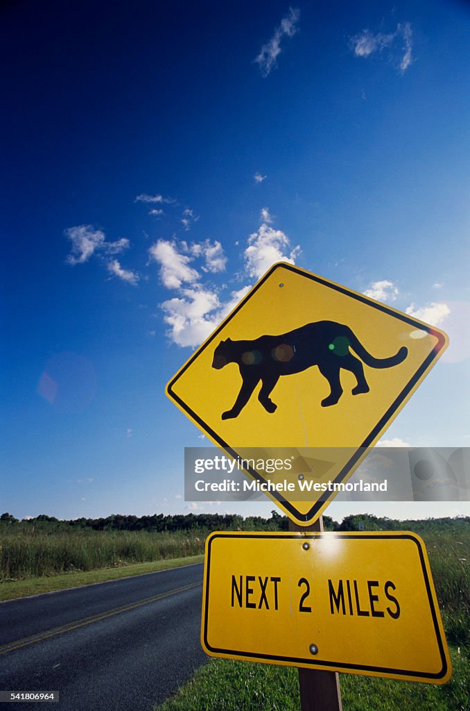 Panther Warning Sign