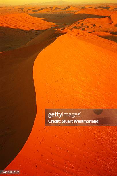 sossusvlei sand dunes - sossusvlei stock pictures, royalty-free photos & images