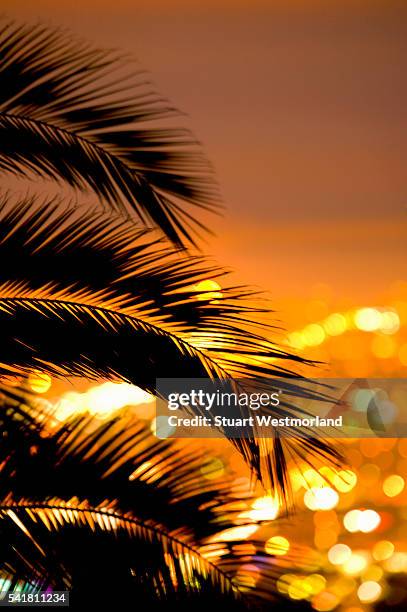 sunset from hollywood hills - hollywood california - fotografias e filmes do acervo