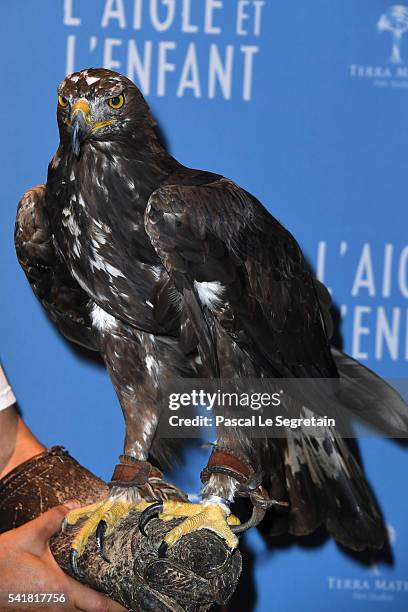 An Eagle is seen during the "L'Aigle et l'enfant" Paris premiere at Gaumont Capucines on June 19, 2016 in Paris, France.