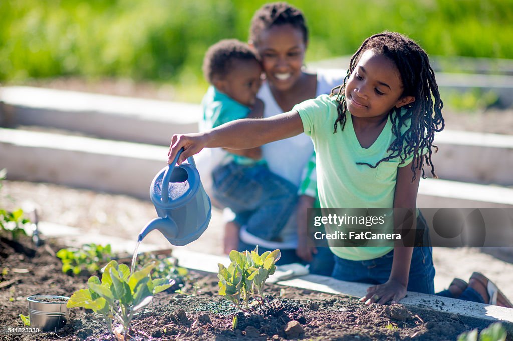 Watering the Vegetable Garden